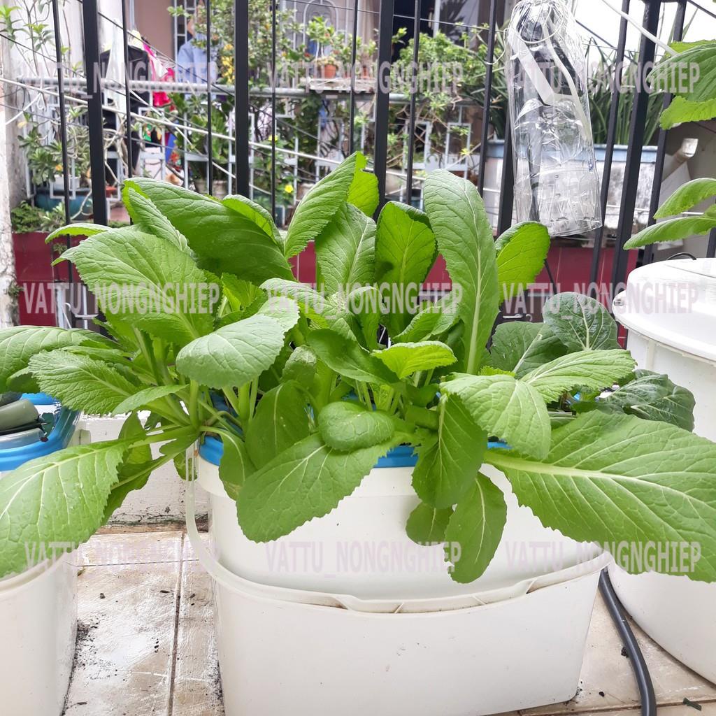 Bộ 2 thùng trồng rau ăn lá thủy canh- tặng 2 hủ dinh dưỡng SẠCH -AN TOÀN+ viên nén ươm hạt
