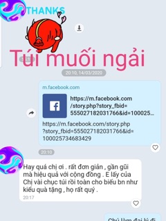 TÚI CHƯỜM MUỐI NGẢI CỨU