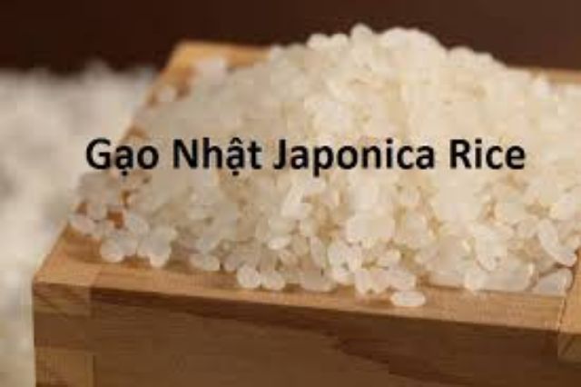 Gạo sạch gạo Nhật Japonica bịch 5kg - HẠT DẺO MỀM THƠM NGON luôn mới | BigBuy360 - bigbuy360.vn