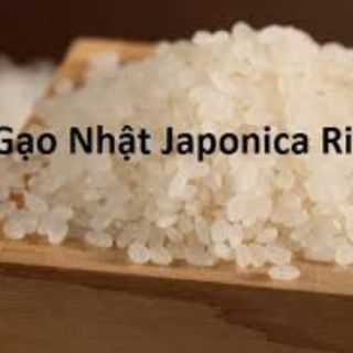 Gạo A An Nhật Japonica 5kg