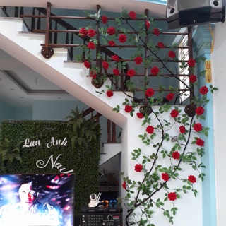 Hoa hồng leo