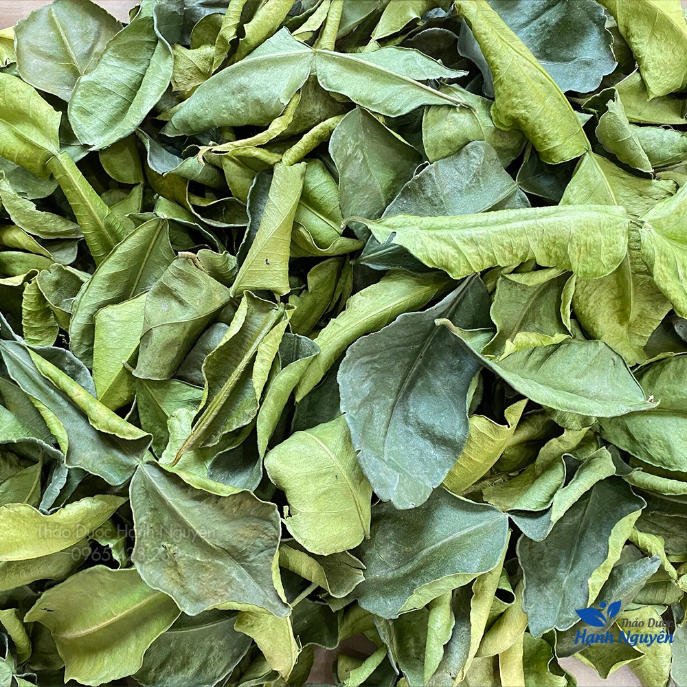 Lá chanh sấy khô 1kg (Gia vị lẩu thái,lá xông giải cảm xả chanh) - Thảo Dược Hạnh Nguyên