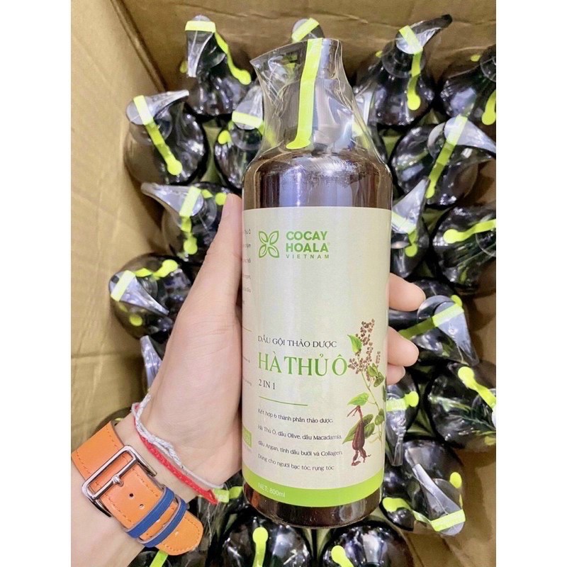 🌸 DẦU GỘI THẢO DƯỢC HÀ THỦ Ô 2 IN 1 🌸 | BigBuy360 - bigbuy360.vn