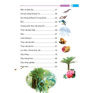 Bách Khoa Tri Thức Cho Trẻ Em - Động Vật, Thực Vật
