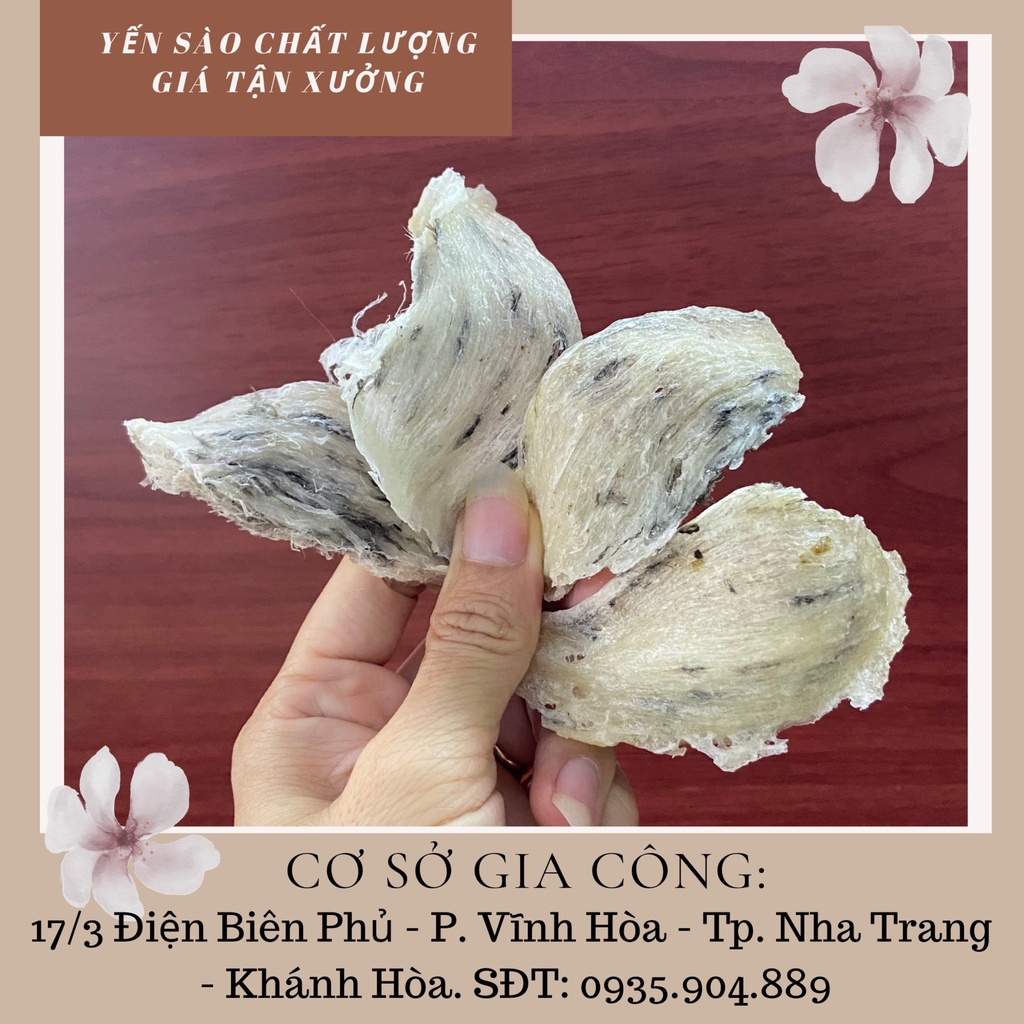 10gr Tổ yến thô bể 2/3 tặng kèm táo đỏ, hạt chia, đường phèn