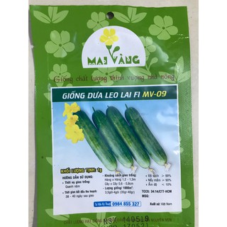 Hạt giống Dưa leo 1g
