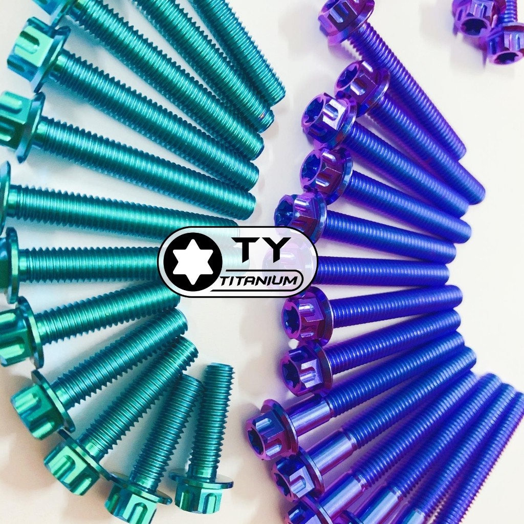 Ốc Titan Gr5 Lốc Máy đầu Salaya G1 các loại xe