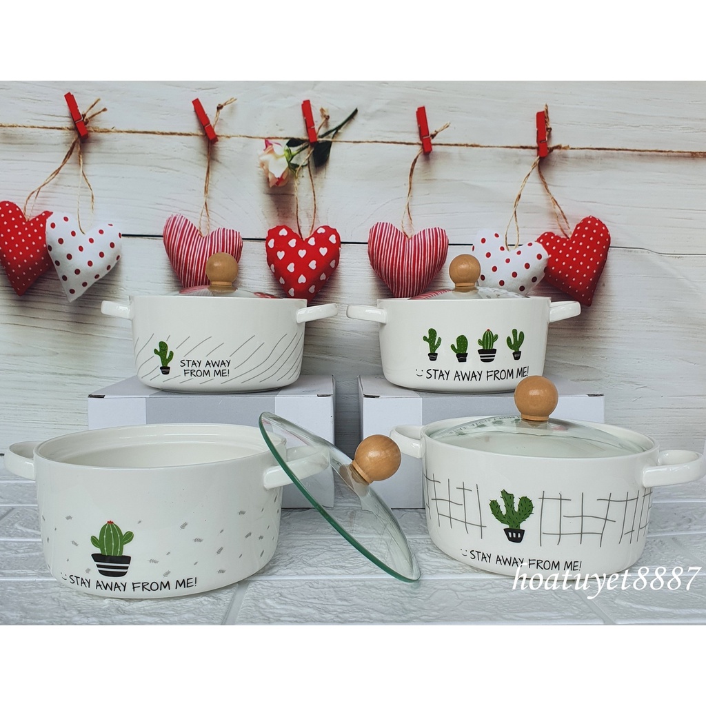 Tô ăn mì, Bát sứ cao cấp hình Sương Rồng phong cách Hàn Quốc có nắp thủy tinh