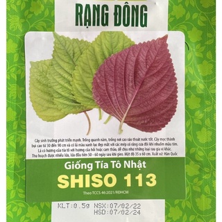 Hạt giống tía tô Nhật, đóng gói 0.5gr