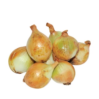 Củ hành tây 1kg- 500gg
