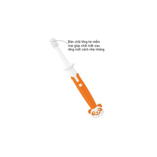 Bàn Chải Bước 3 Richell RC98176 (12 Tháng Trở Lên)