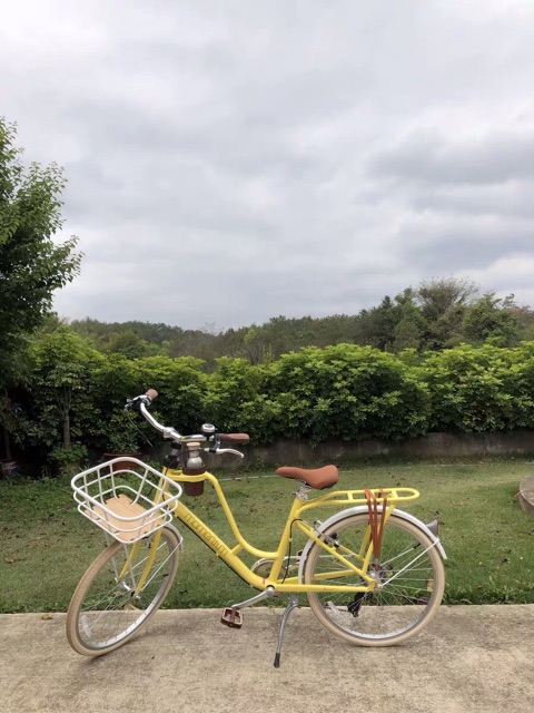 Xe đạp momentum 2019