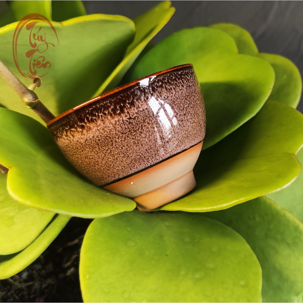 Bộ 6 ly rượu gốm sứ giả cổ dung tích 55ml 45ml Ly gốm uống rượu hỏa biến đóng hộp quà trang nhã