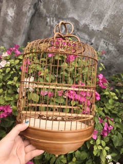 Khuyên lùn size 24