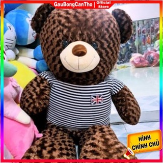Gấu teddy khổ 1m6 cao 1m4 - gấu bông cần thơ