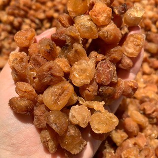 Long nhãn hưng yên sấy khô lon 500gram