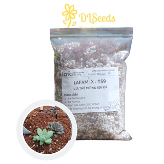 Đất trồng cây sen đá lafamix ts9, combo 10 túi đất trồng sen đá lafa