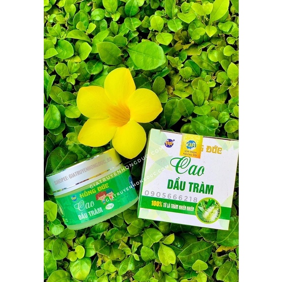 CAO DẦU TRÀM HỒNG ĐỨC