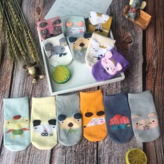 Sét 3 đôi tất poni kids cho bé