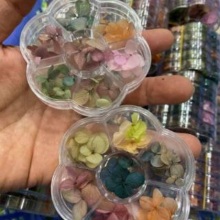 Hoa khô omber ẩn gel