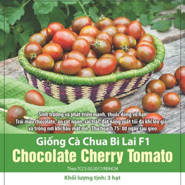 Hạt Giống Cà Chua Bi Chocolate (3 hạt )