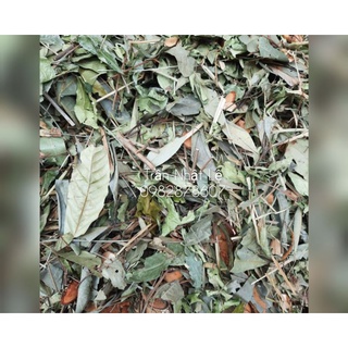 Lá tắm dao đỏ 1kg