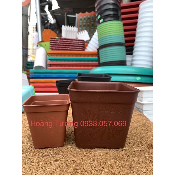 Chậu vuông 7cm, 10cm trồng sen đá, cây kiểng nhỏ