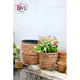 Litishop - Chậu trồng cây lục bình đẹp