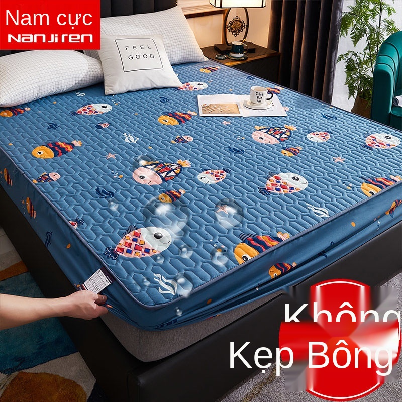 Ga trải giường không thấm nước Nam Cực khăn trải giường một mảnh chống thấm nước tiểu nệm thoáng khí Tấm trải giường dày