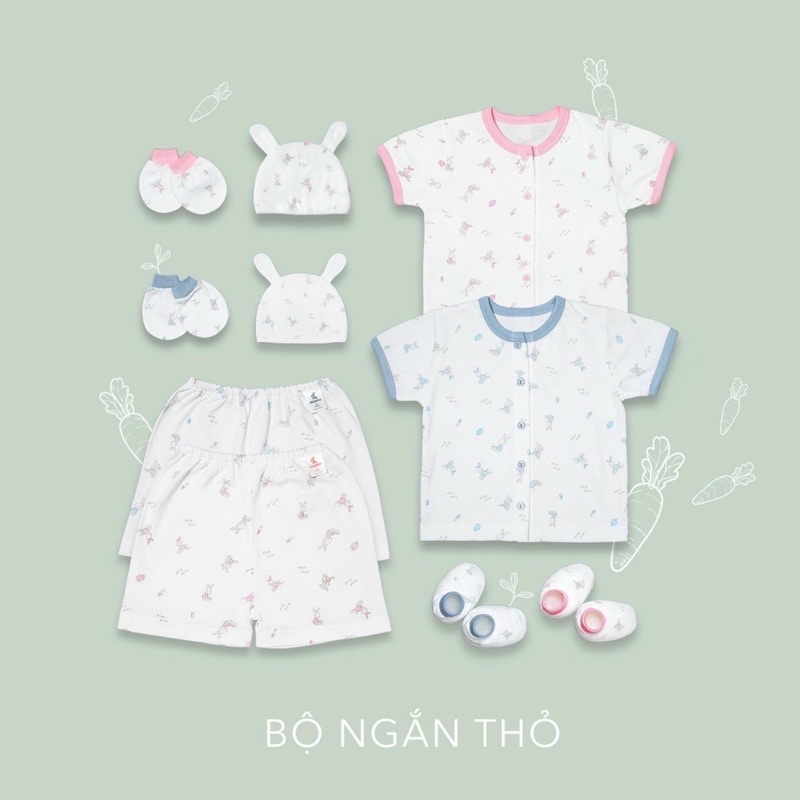 Bộ tay ngắn cotton miomio-Bộ cotton miomio