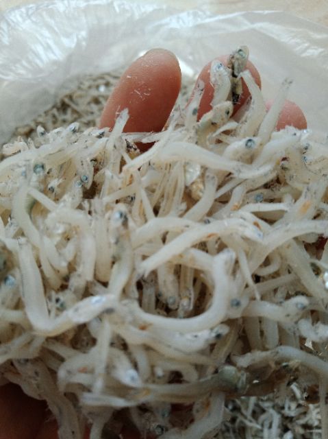 [500g] Cá Cơm Mờm Sữa Loại 1 | Cá Cơm | BigBuy360 - bigbuy360.vn