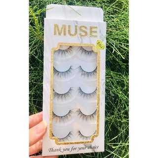 lông Mi giả Muse