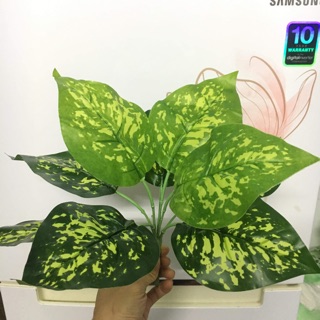 Cành vạn niên thanh - cây giả trang trí sự kiện cửa hàng
