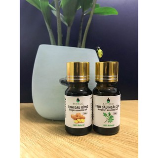 TINH DẦU NGẢI CỨU ĐÈN XÔNG - 10 ML - 380k