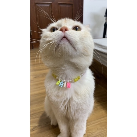 Vòng Cổ Hạt Cườm dành cho Thú Cưng Handmade - Vòng Đeo Cổ Dễ thương Độc lạ Nhiều kích cỡ