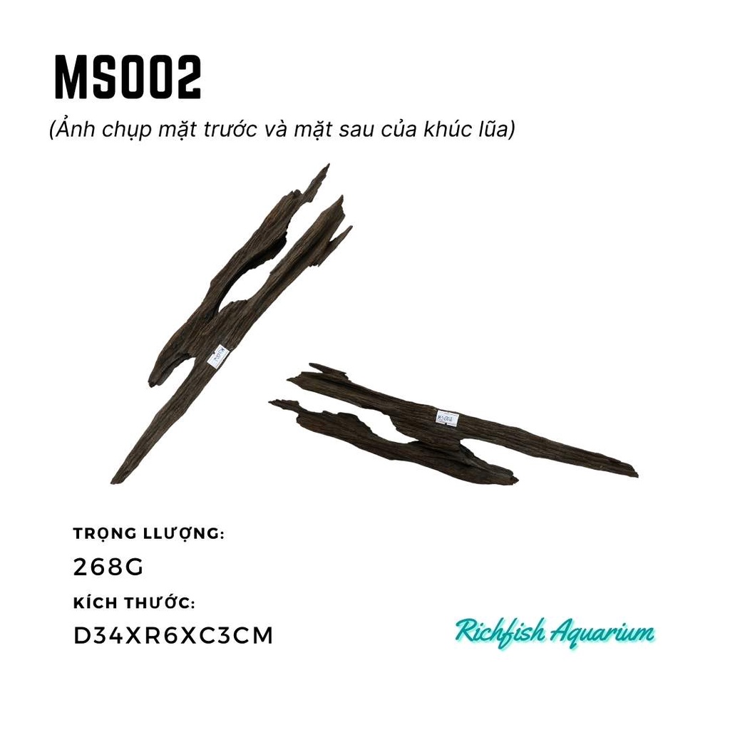 Gỗ lũa dùng setup layout bể cá cảnh thủy sinh nhỏ từ 20-30cm (Ms001-Ms008)