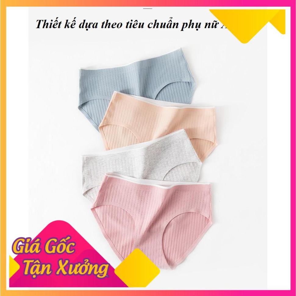 Quần Lót Cotton Gân Tăm Không Đường May Kháng Khuẩn CT-06