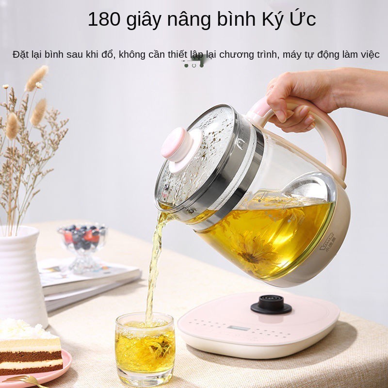 Bình chăm sóc sức khỏe gấu trúc nhỏ đa chức năng làm dày gia đình Ấm trà văn phòng mini, tổ yến, dung tích lớn