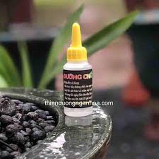 Dưỡng chất ab cho hoa phong lan,kích kie
