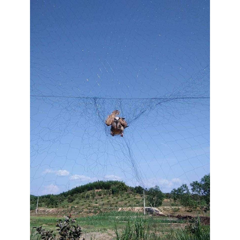 Lưới tổng hợp bắt sẻ,chào mào,cu.các loại chim dài 30m