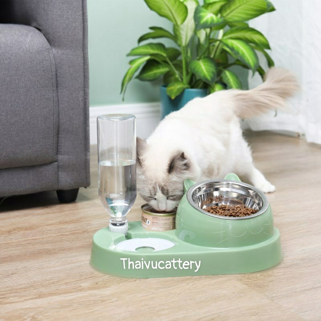 Bát ăn nghiêng cao cấp chống gù lưng, vẹo cột sống kèm bình uống nước tự động cho thú cưng bát ăn chó mèo