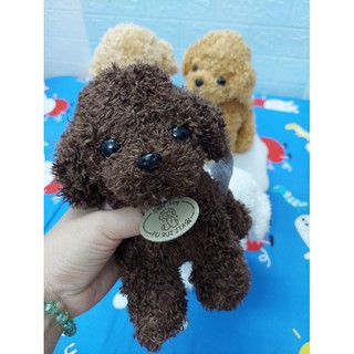 [Thanh lý] Thú bông cún poodle siêu cute