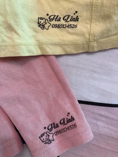 Combo Dấu + mực vải CTV 2