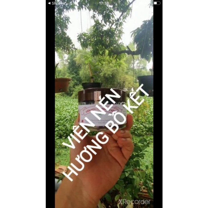 HỘP 30 VIÊN / GÓI 10 VIÊN NÉN BỒ KẾT XÔNG NHÀ - KHỬ KHUẨN - LỌC SẠCH KHÔNG KHÍ