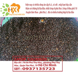 hạt giống tràm lai -500 gram