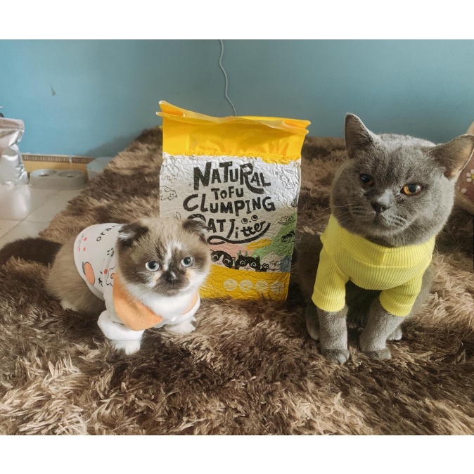 Cát Đậu Nành - vệ sinh cho Mèo - NATURAL TOFU CLUMPING CAT LITTER 6L