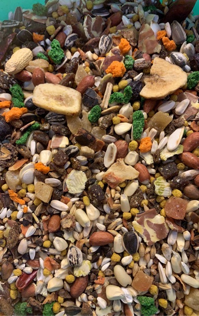 Thức ăn Life parrots hoàn chỉnh cho Vẹt lớn gói nguyên seal 2kg