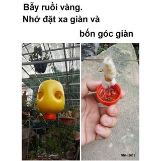 Thu.ố.c Diệt Ruồi Vàng Đục Trái VIZUBON - D