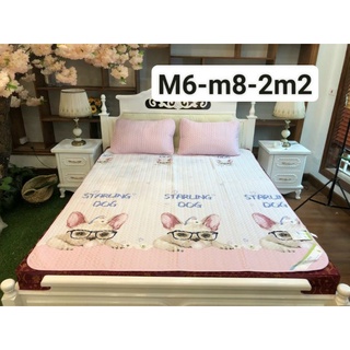 Chiếu điều hòa tencel (m6)