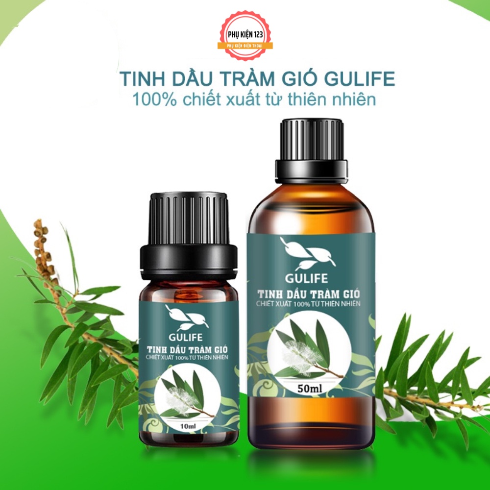 Tinh dầu Tràm Gió chiết xuất từ thiên nhiên GULIFE  giảm căng thằng thơm phòng và thư giãn